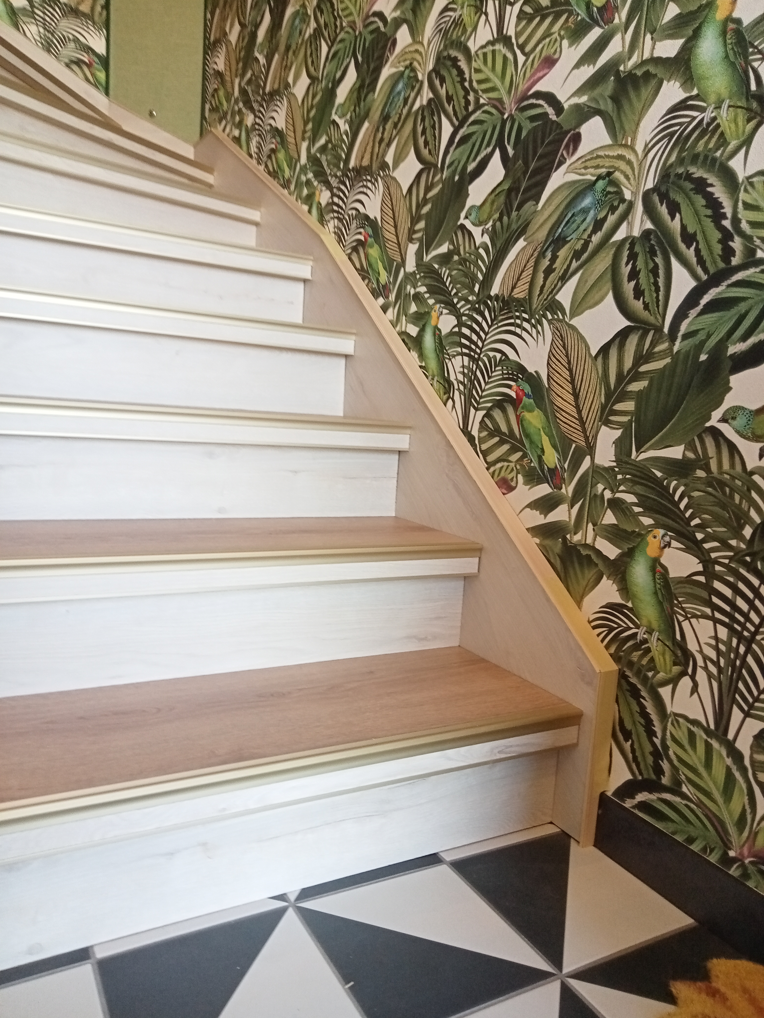 Habillage escalier  (Marches et côtés) avec changement couleur rampe